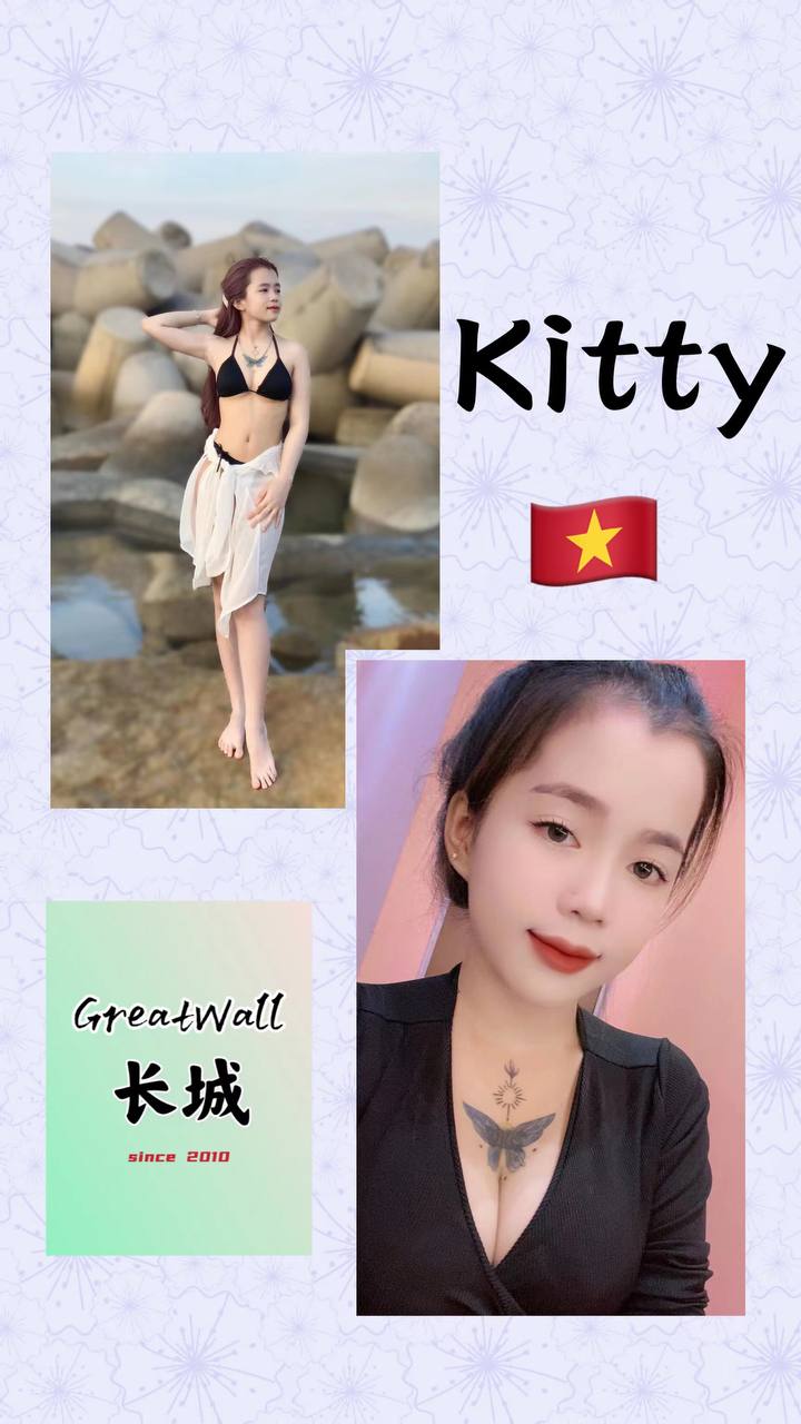 蒲种长城Greatwall Kitty