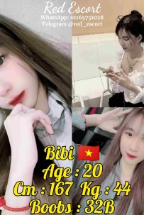 [Desa Sri Hartamas] 红灯区 WhatsApp: 011-6575 1028